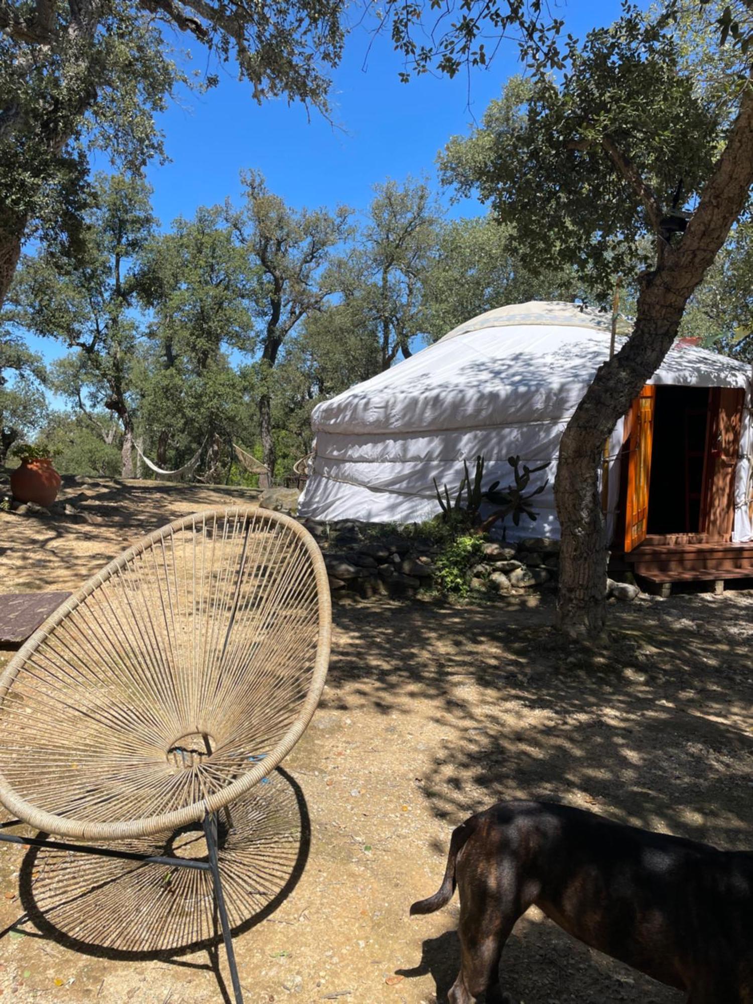 Au Soleil Mongol Sorède Exterior foto